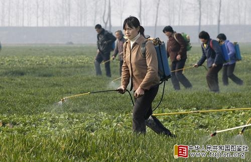 2月11日,在湖北省襄樊市襄阳区程河镇,农民在抗旱服务部门工作人员的带领下,用紧急援助的“旱地龙”生物抗旱制剂喷洒农田。 新华社发(李云飞 摄