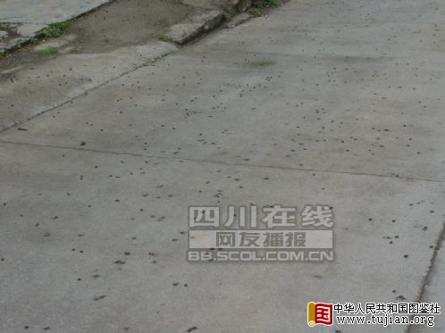 �Ĵ�����:��������ϰ� ������Ϊ����ǰ��(ͼ)