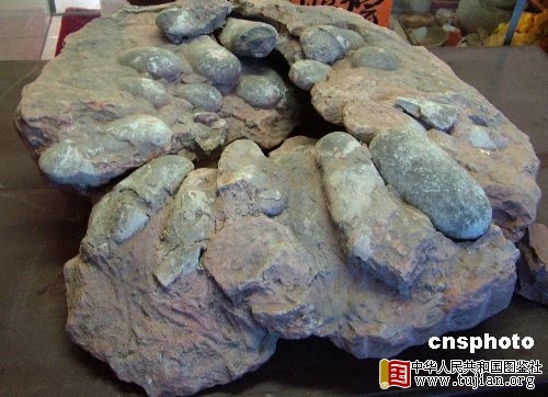 �����Ͽ��״η���Բ�ο�������ʯ(ͼ)