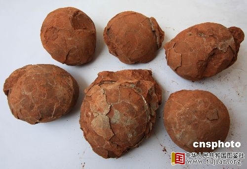 �����Ͽ��״η���Բ�ο�������ʯ(ͼ)