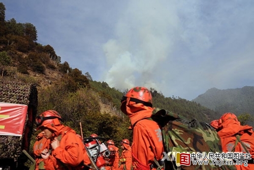 ������֥����С��ɭ�ֻ���(��ͼ)