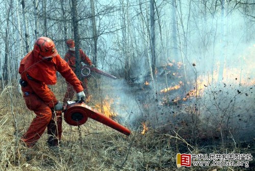 ������մ��ɭ�ֻ�����������������(��ͼ)