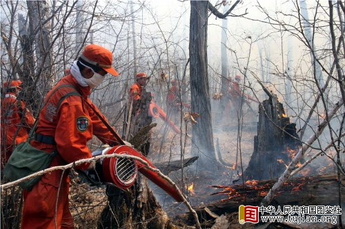 ������մ��ɭ�ֻ�����������������(��ͼ)