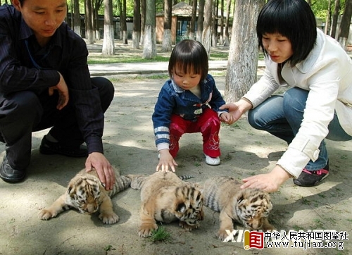 ������ɽ���������̻��⡰¶����(��ͼ)