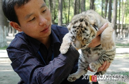 ������ɽ���������̻��⡰¶����(��ͼ)