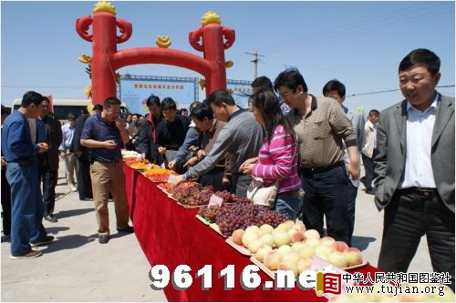 �������ͼ