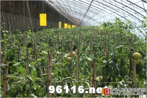 �������ͼ