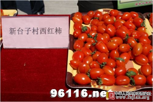 �������ͼ