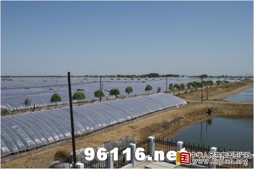 �������ͼ