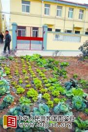 ��Ϊ�˼��ٿ�֧���������¼Ҹ������̻����������߲ˡ��������ɼ��� �� �� �ֳ�ͼƬ