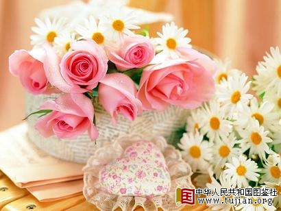 ڵذҵĴ쾿