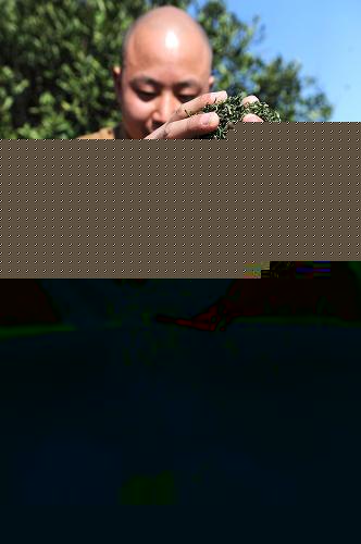 ʥɽɴ--ͼ