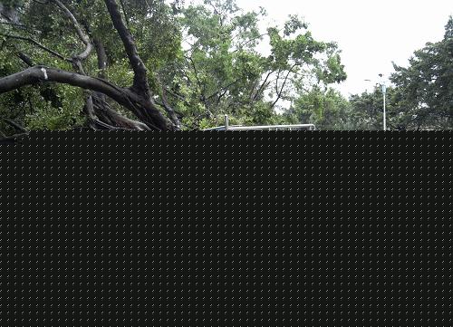 㶫ֺ 12