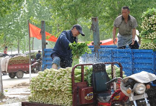 ���ϣ���Ĳ�����۲˵ͼ�����--��ͼ��