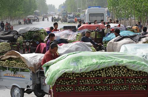 ���ϣ���Ĳ�����۲˵ͼ�����--��ͼ��