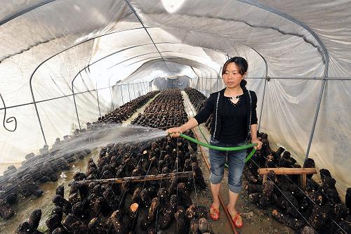 �ֺ��ؽ�ʹ�നʳ�þ���ҵ��չ��ͷǿ��--��ͼ��