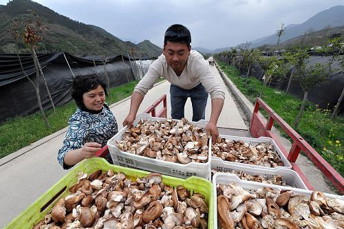 �ֺ��ؽ�ʹ�നʳ�þ���ҵ��չ��ͷǿ��--��ͼ��