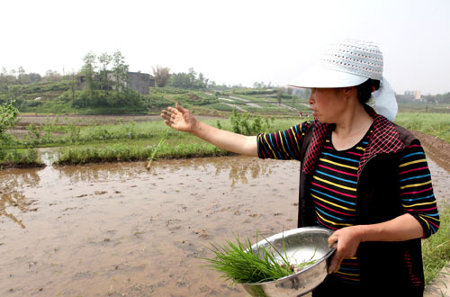 �������� ��ũ����--��ͼ��