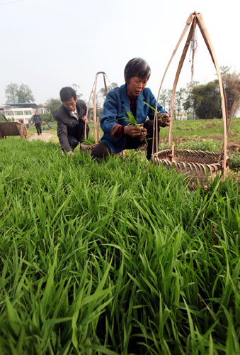 �������� ��ũ����--��ͼ��