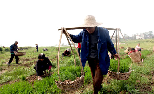 �������� ��ũ����--��ͼ��