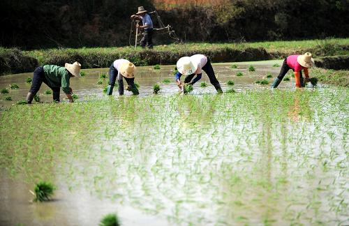 ����ũ�������絾--��ͼ��