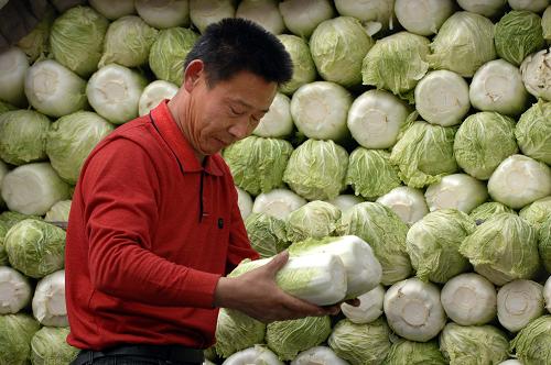 ɽ���߲˼۸�����7���µ�--�й�ͼ��