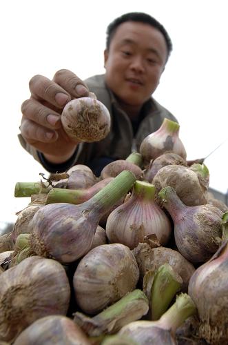 ɽ���߲˼۸�����7���µ�--�й�ͼ��