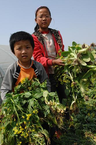 ���񲿽����·�֪ͨ�����߲ˡ����ѡ�--��ͼ��