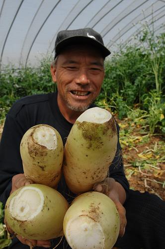 ���񲿽����·�֪ͨ�����߲ˡ����ѡ�--��ͼ��