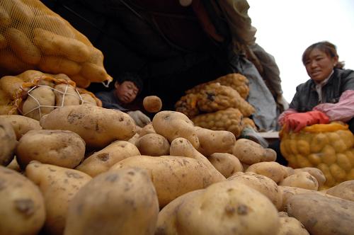 ���ϣ������߲˴�����ϵ �����˼۴������--��ͼ��