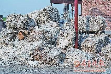 ֽֽ߰пͽֽ(ͼ)--ͼ