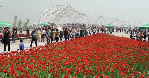 2011��������԰�ղ����Ὺ԰--�й�ͼ��