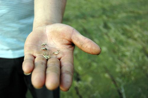 �������ֺ������� ���ط�������--��ͼ��