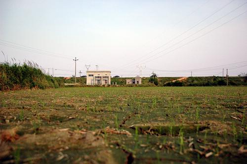 �������ֺ������� ���ط�������--��ͼ��