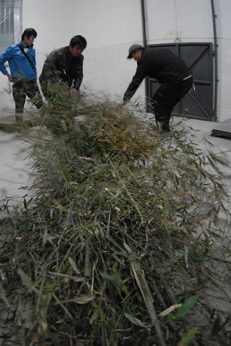 ��ֻ������������è������̨--��ͼ��