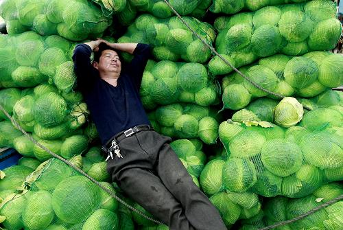 �Ϻ������Ĳ˼ۼ����� ����������ʩ����--��ͼ��