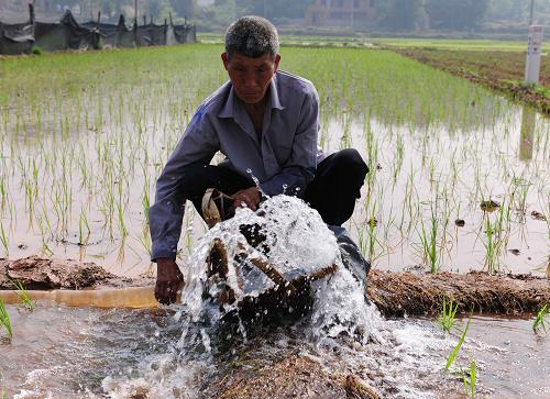 ��ʱ�� æũ�� ������--�й�ͼ��