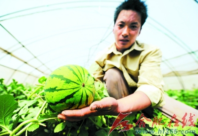 ���عϿ���������ͼ��--��ͼ��