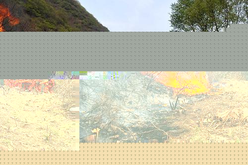 ɽɭֻֻõ--ͼ