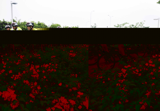 㶫2011ȫ̵ϵл--ͼ