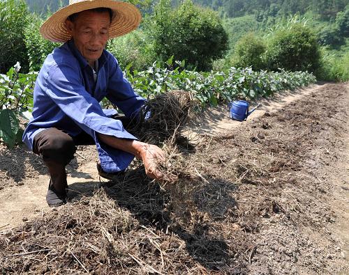 针对江西严重旱灾 国家四级救灾应急响应紧急启动