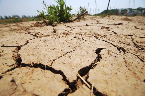 针对江西严重旱灾 国家四级救灾应急响应紧急启动